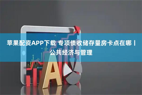 苹果配资APP下载 专项债收储存量房卡点在哪丨公共经济与管理